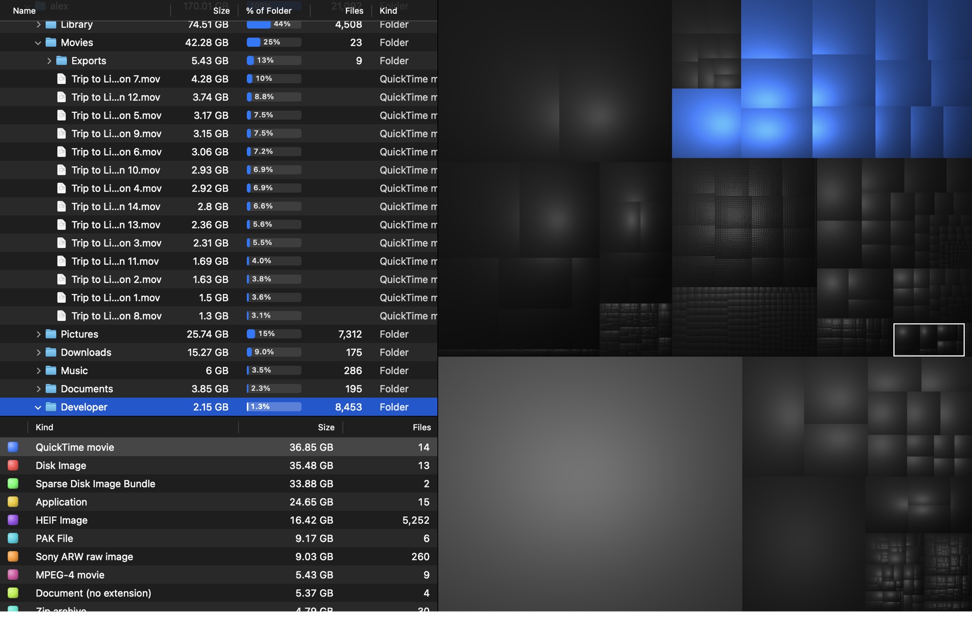 All movie files highlighted in the treemap